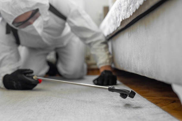 Professional Termite Control technician working in Del Rio, CA