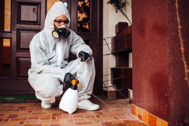 Reliable Termite Control contractor in Del Rio, CA by Nex Pest Control